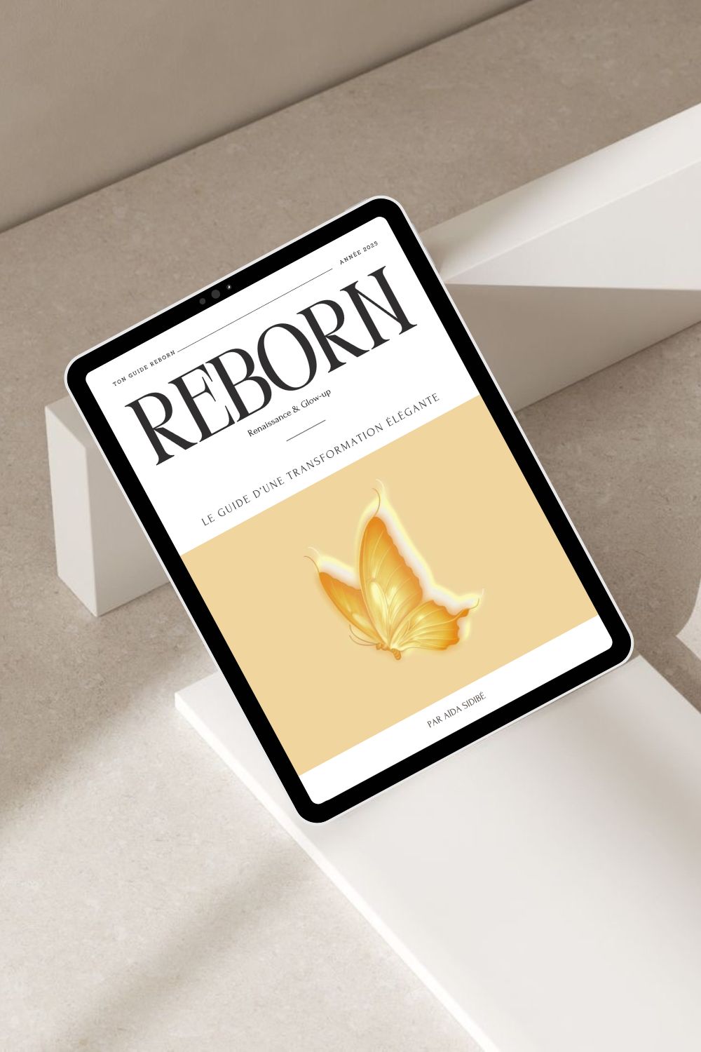 couverture du e-book
